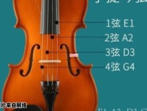 小提琴是由几根琴弦构成的？
