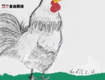 如何用简单的方法画一只大公鸡