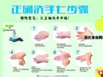 正确洗手的七个步骤及方法是什么