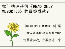 如何快速获得《READ ONLY MEMORIES》的最终成就？