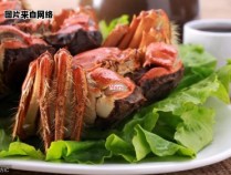 哪些食物与螃蟹不宜搭配食用？