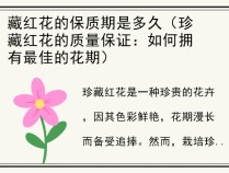 藏红花的保质期是多久（珍藏红花的质量保证：如何拥有最佳的花期）