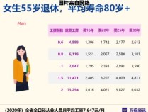 广州退休金计算工具