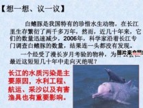 白鳍豚灭绝的根源及其对生态的危害