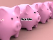 饲养一头猪的经济成本与收益分析（2019养一头猪的成本与利润）