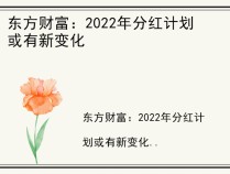 东方财富：2022年分红计划或有新变化