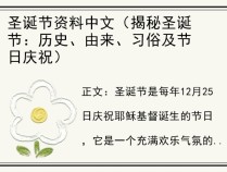 圣诞节资料中文（揭秘圣诞节：历史、由来、习俗及节日庆祝）