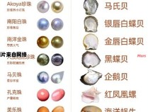 贝珠与淡水珍珠的差异有何不同