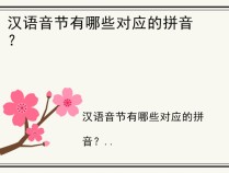 汉语音节有哪些对应的拼音？