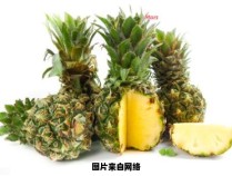菠萝与榴莲的食用搭配是否合适？