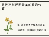 寻找惠州近期最美的花海位置