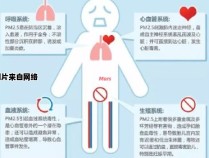 PM2.5对人体的健康影响及净化器的功效
