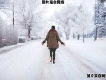 长岛的雪是哪位作家所描绘的 长岛的雪是李毅吧谁写的