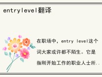 entrylevel翻译