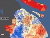 上海市中心城区人口比例分析