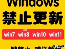 如何禁用Win10自动更新显卡驱动