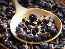 黑枸杞子的食用方式及其益处