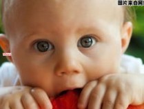 宝宝一岁时每餐辅食应该吃多少？