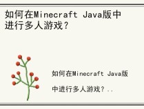 如何在Minecraft Java版中进行多人游戏？