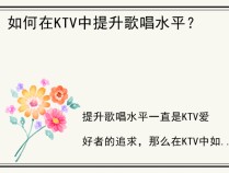 如何在KTV中提升歌唱水平？