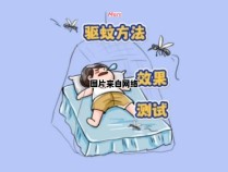 如何有效避免蚊虫叮咬影响睡眠质量