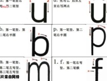 正确书写汉语拼音字母的格式指南