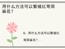 用什么方法可以繁殖红萼茼麻花？