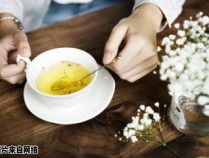 江西特产狗牯脑茶的茶叶品种是什么？