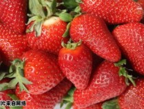 吃脖子种植的草莓是否存在风险？（脖子啃草莓）