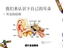 耳目受到外界影响和耳目深受熏陶