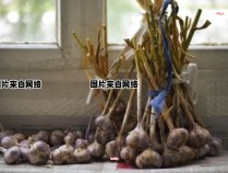 石榴籽的食用方式及功效