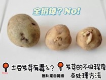 土豆发芽后是否还适宜食用？