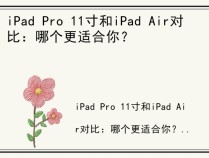 iPad Pro 11寸和iPad Air对比：哪个更适合你？