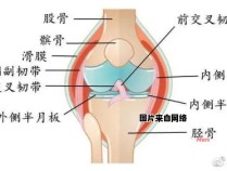 为什么会出现膝关节疼痛的情况？
