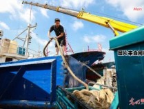 远洋渔船打捞两年，渔民工资颇丰 远洋渔船一年赚多少钱