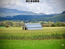 平武县农业和乡村发展管理机构 平武县农业和乡村发展管理机构名单