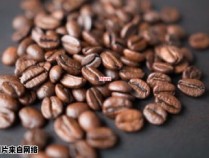 可可豆和咖啡豆是否属于同一种类的豆子呢？ 可可豆跟咖啡豆一样吗