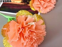 如何手工制作纸质康乃馨花束