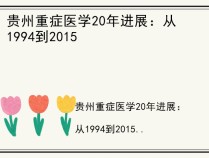 贵州重症医学20年进展：从1994到2015