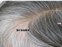 如何给奶奶染发以遮盖灰白头发