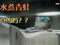 蛙在温水中煮是指什么？