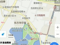 武汉动物园所在地的地铁线路是哪条？