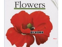 fiveflowers的含义是什么