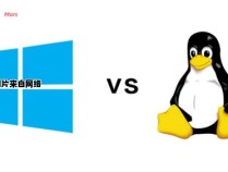 C语言在Linux和Windows平台中的特点和差异