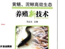 新技术助力黄鳝与泥鳅健康养殖