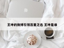 王坤的微博引领百里之选 王坤是谁