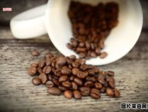 咖啡豆的种类一览