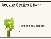 如何正确修剪盆栽花椒树？