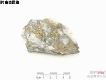 黄铜矿化灰岩中的条带状结构