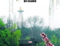 扬州的春天，烟花绽放的季节